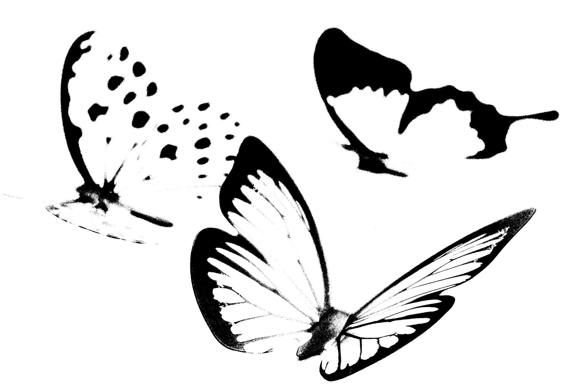 DIGITAL ART