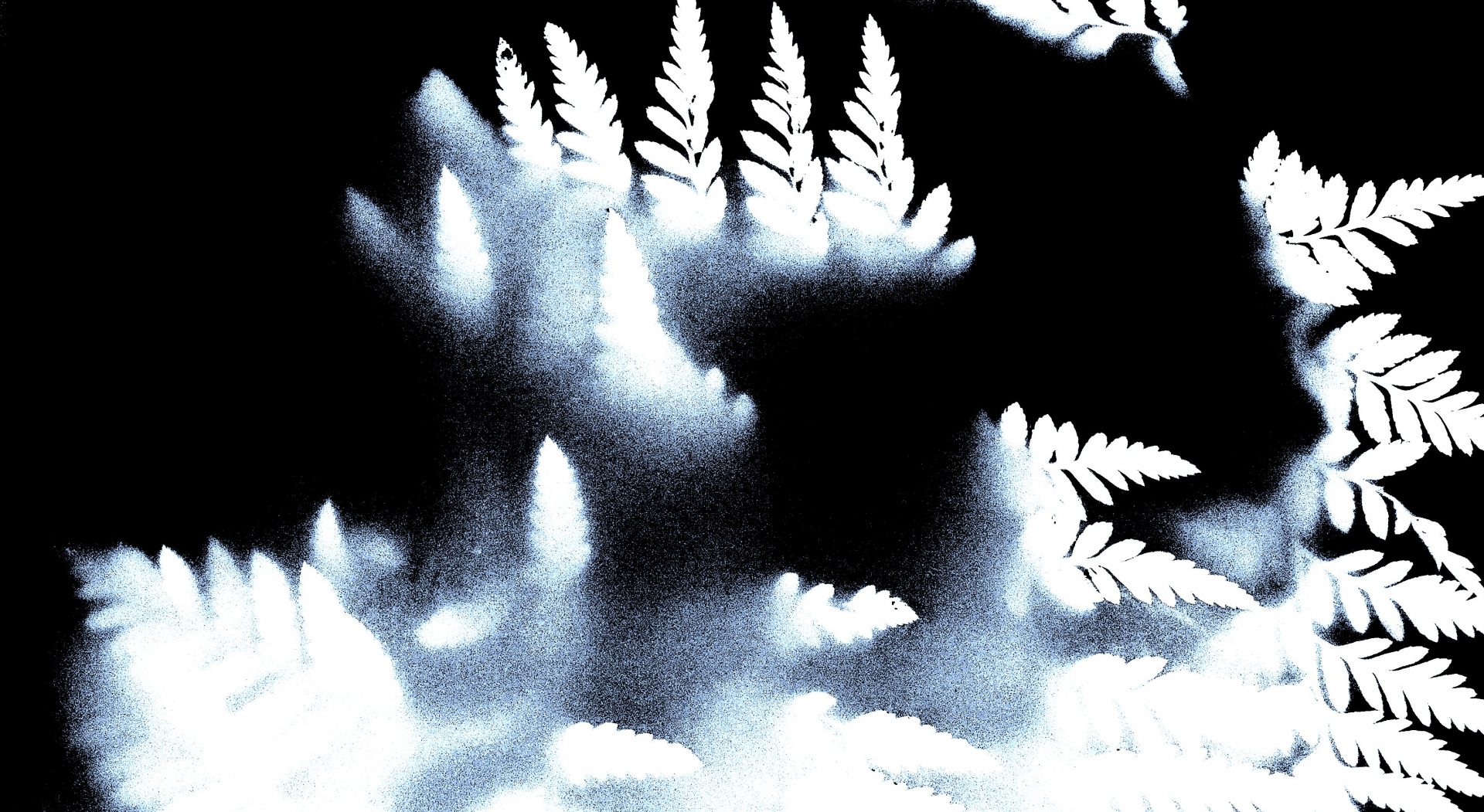 DIGITAL PRINTS