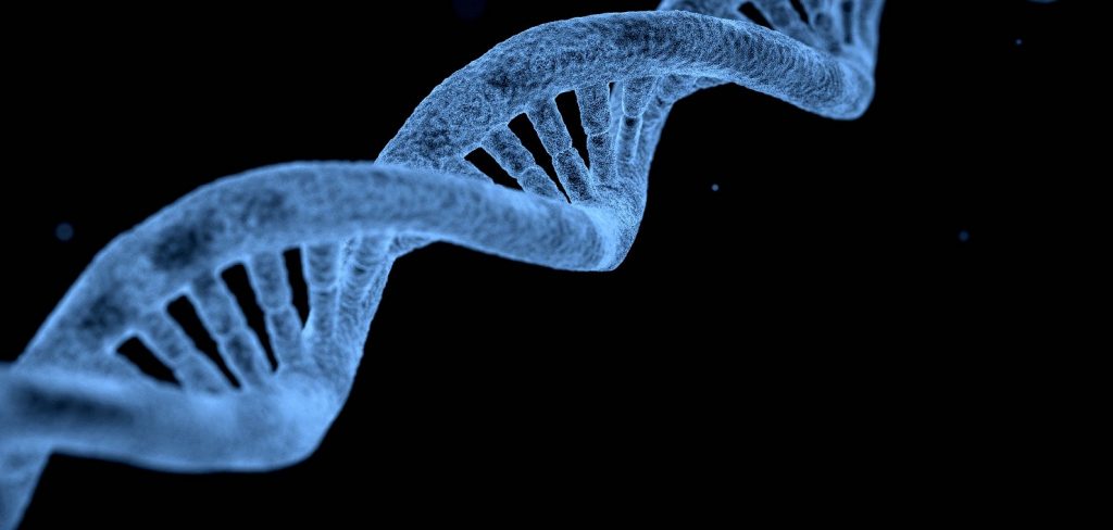 Epigenetics of branding | The bio Edit